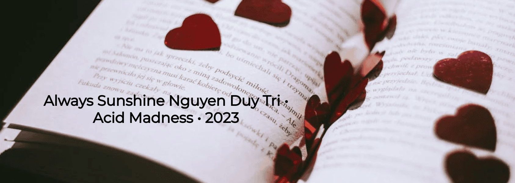 Always Sunshine Nguyen Duy Tri • Acid Madness • 2023