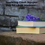Sparkling Crash Nguyen Duy Tri • Acid Madness • 2023