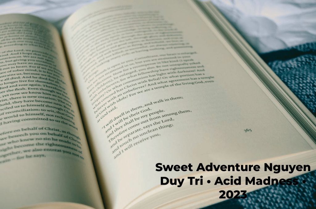 Sweet Adventure Nguyen Duy Tri • Acid Madness • 2023